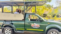 Kruger Park Safari - Morning Private Vehicle from Hazyview