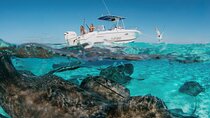 Private Charter Reef fishing, Stingray City, Snorkel, Mangroves
