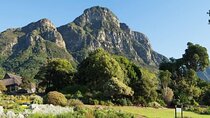 Kirstenbosch Botanical Gardens and Wine Tasting in Constantia