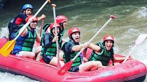 Ubud Rafting with Lunch and Optional Extra Tour
