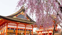 Full Kyoto Magical Experience 1 Day Tour