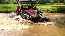 Bali UTV Buggy Adventure Ubud