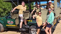 Kruger Park Safari - Afternoon Private Vehicle from Hazyview