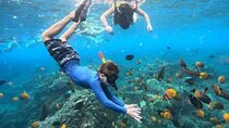 Blue Lagoon Snorkeling and Lunch with Visit Waterfall in Ubud