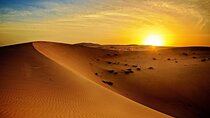 Dubai Morning Desert Safari with Quad Biking and More Activities