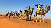 Overnight Desert Camp Stay and Camel Trekking in Merzouga