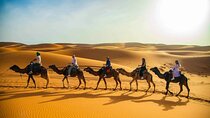 Merzouga sahara desert Adventure,Dunes,Sunset,camel ride 3 Days