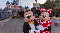 Disney and Universal Private Luxury Transfer