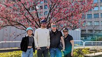 Tokyo Sakura Wonderful Viewing Tour by E Bike