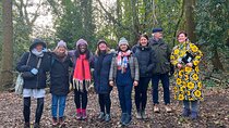 Guided Forest Bathing Walk in a Hidden SE London Woodland