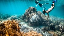 All Inclusive Bali Blue Lagoon and Tanjung Jepun Snorkeling
