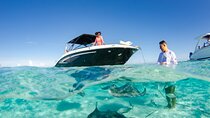 3 Hour Private Charter on Stingray City with Snorkeling