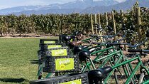 Bikes, Vines & Fine Wines: A Relaxed Day Out in Luján de Cuyo