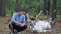 Khuvsgul and Rein deer trip, Northern Mongolia