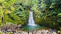 Private Hike - Discover São Miguel’s Craters, Lakes & Waterfalls
