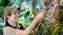 Brisbane Private Shore Excursions with Lone Pine Koala Sanctuary