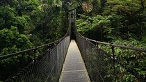 Arenal Tour Including Hanging Bridges Volcano Hike and Waterfall