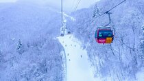 Balwangsan Cable Car and Daegwallyeong Ranch Adventure
