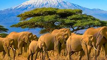 3 Day Amboseli National Park Camping Safari Tour