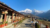  Pokhara to Ghandruk Gurung Village Hiking and Overnight stay 