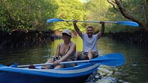 Bali: Point of Bliss massage with mangrove Kayaking and GWK Park