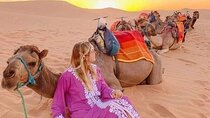 3 Day Desert Adventure Marrakech to Merzouga Dunes Camel Trek 