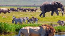 5 Ol Pejeta Conservancy, Lake Nakuru, Masai Mara Wildlife Safari