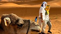 From Marrakech: 3-Day Private Excursion to the Erg Chegaga Sahara