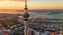 Private Auckland Half Day Tour of Attractions and Museums