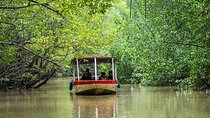 Damas Mangroove Boat Tour from Manuel Antonio