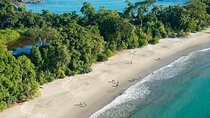 Manuel Antonio National Park Nature Walk