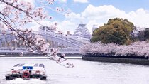 Osaka 1 Day Walking Tour with River Cruise from Osaka or Kyoto