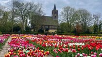 Private Tulip Museum Garden Windmill and Cheese Tasting Tour 