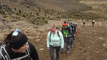 2 Days 1 Night Mount Kenya Climbing Sirimon Route