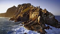 Full Day Cape Peninsula Tour Penguins Cape Point and Scenic Drive
