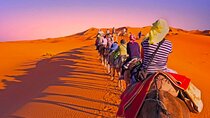 2 Days, 1 Night Luxury Desert Trip (Fes to Fes Or Marrakech)