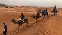 Marrakech to Merzouga 3 Days Shared Desert Tour