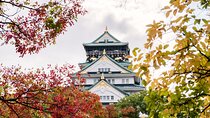 Osaka Unveiled: A Self-Guided Journey Through Japan's Kitchen