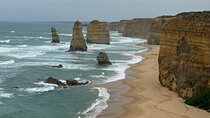 Day Tour - Melbourne to Great Ocean Road(Min 5-Max 11 Passengers)