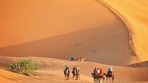 Marrakech to Fez via Merzouga Desert 3-Days | Marrakech-to-Fes