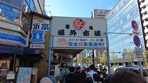 Tokyo Tsukiji Fish Market Walking and Exploring Hidden Gems Tour