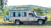 Discover Our World-Class 5-Day Tanzania Safari: Top Guided Safari