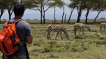 Crescent Island Walking Safari & Naivasha Boat Ride