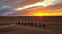 Agafay Desert Camel riding with sunset and dinner and berber show