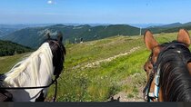 Horseback riding in the Tuscan hills