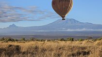 Amboseli National Park Day Trip
