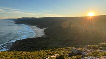 Royal National Park Private Tour & with Pick and Drop Off