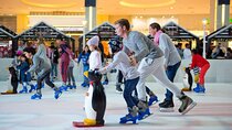 Dubai Ice Rink's General Admission