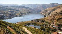 Douro Valley Exclusive and Sustainable Experience from Porto
