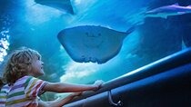 Antalya Aquarium Old Town Half-Day Tour with Gold Centre Visit